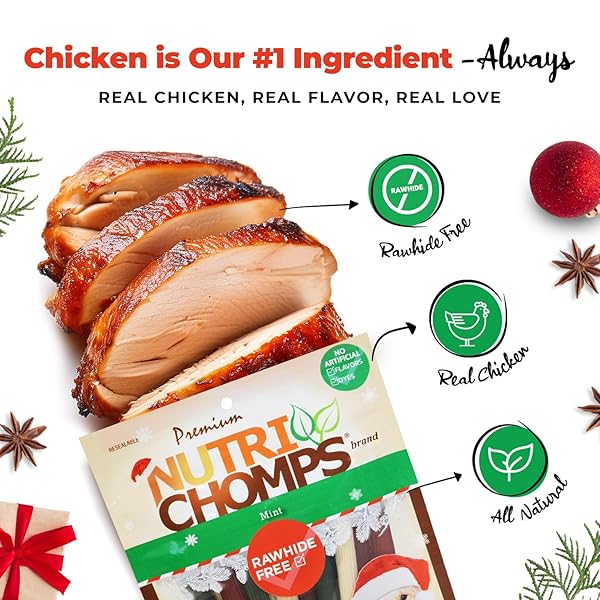 NUTRICHOMPS DOG CHEWS, 5 INCH STICKS, MINT FLAVOR, 15 COUNT, EASY TO DIGEST, RAWHIDE FREE, HOLIDAY STOCKING STUFFER TREATS, CHRISTMAS GIFT FOR DOGS