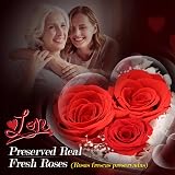 ADDWel Eternal Rose & I Love You Mum Necklace - Gift for Mum view 3