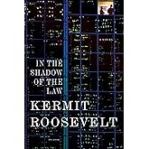 In the Shadow of the Law: A Novel