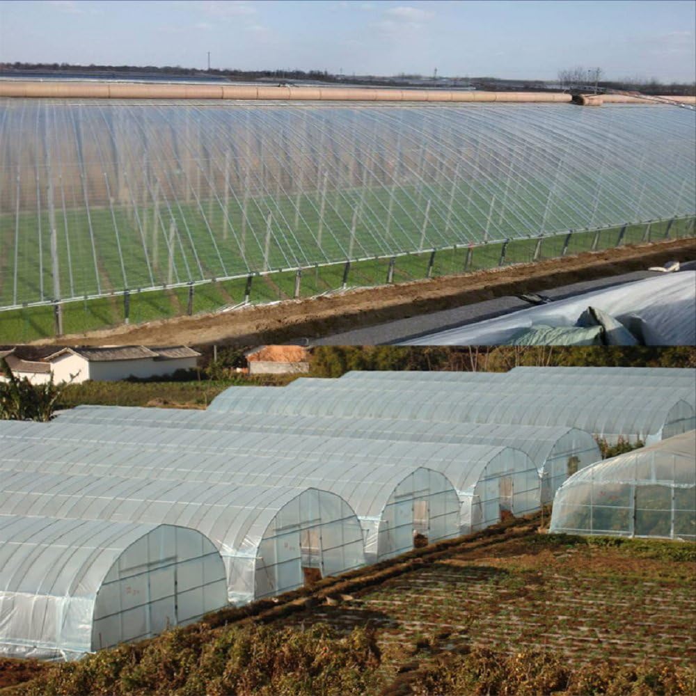 OriginA Greenhouse Clear Plastic Film UV Resistant Polyethylene Covering for Grow Tunnel and Garden Plant Cover, 12-Feet Width by 75-Feet Length