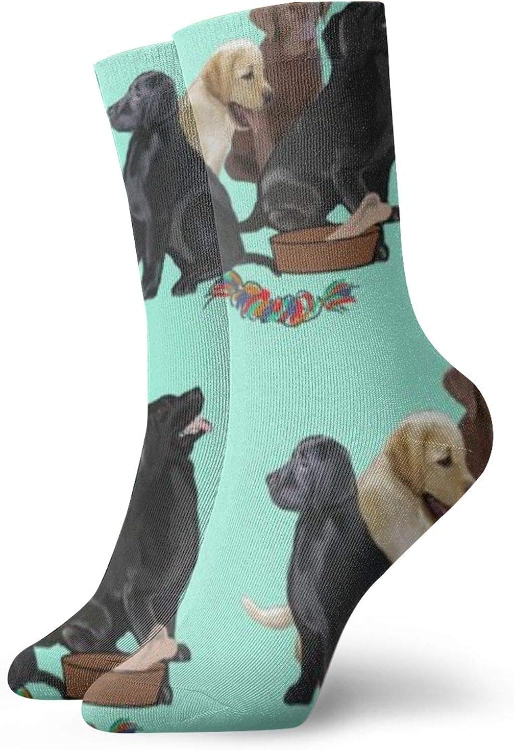 fenrris65 Labrador Retriever Puppies Personalized Socks Sport Athletic