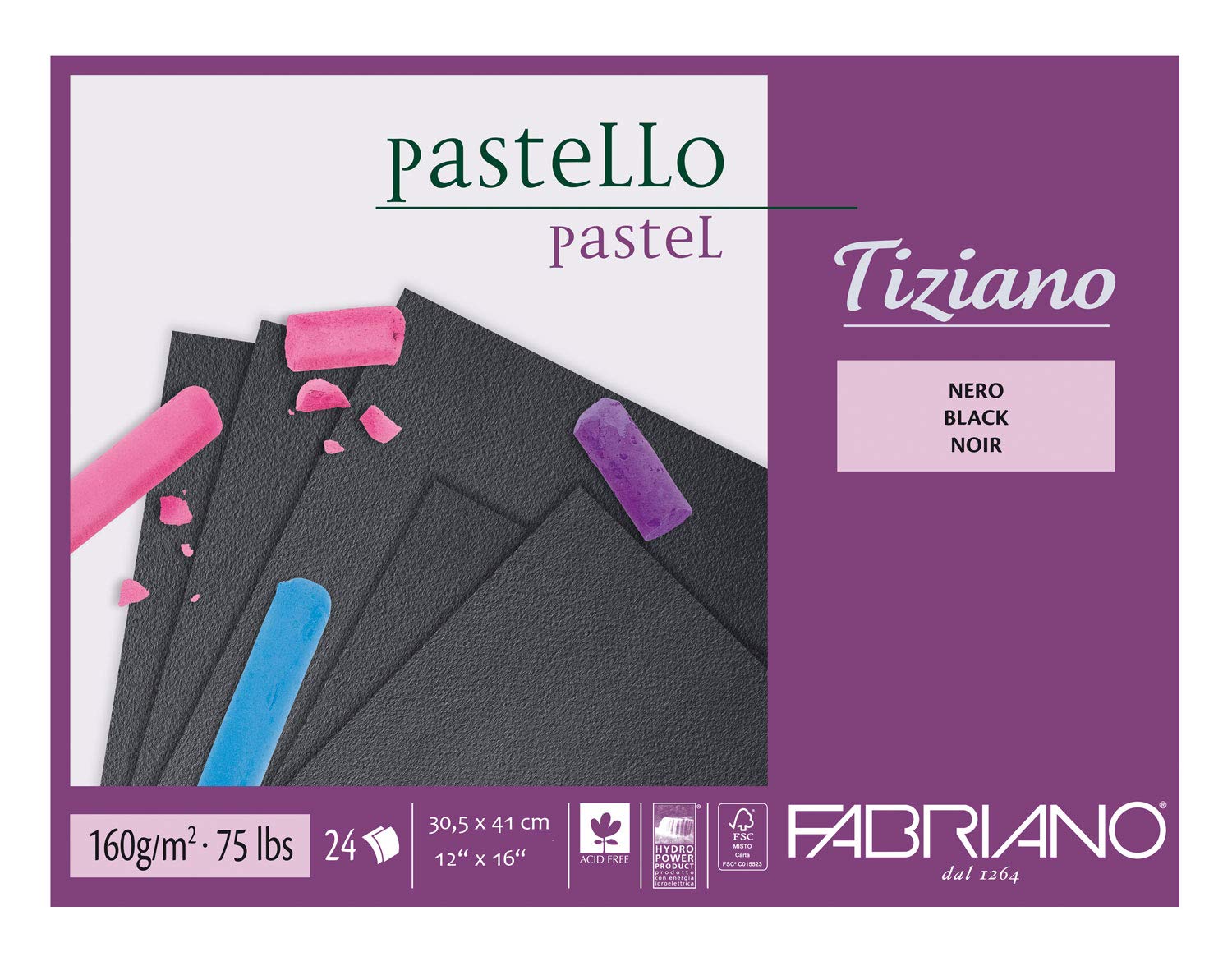Fabriano 46730541 Tiziano Pastel Pad Black 30.5 x 41.0 cm 24 Sheets 160 g/m2 High Rough Acid and Resistant to Ageing Grippy Rough Surface 30.5 x 41 cm