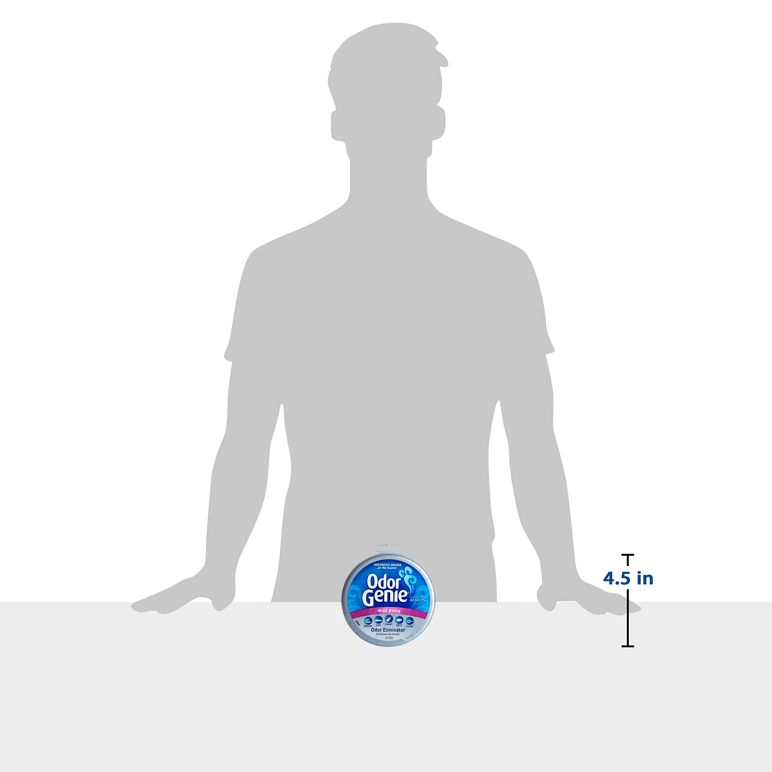 Odor Genie - Odor Eliminator with Wild Berry Fragrance - 8 oz, (FG69H)