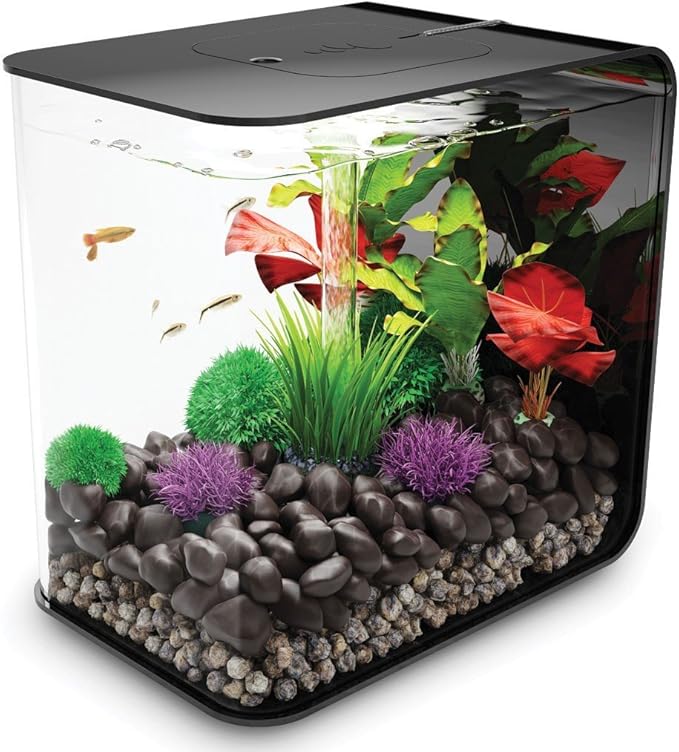aquacadabra aquarium