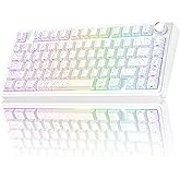AULA F75 Pro Wireless Mechanical Keyboard with Knob,75% Hot Swappable Custom Gaming Keyboards,RGB Backlit,Pre-lubed Switches,Side Printed PBT Keycaps Creamy Sounding Computer Keyboard, Line White