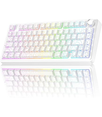 Amazon.com: Ducky One 3 Mini Aura 60% Mechanical Keyboard: Quack