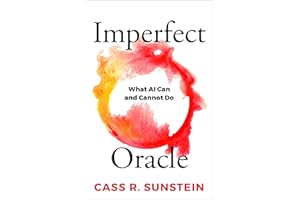 Imperfect Oracle: What AI Can and Cannot Do