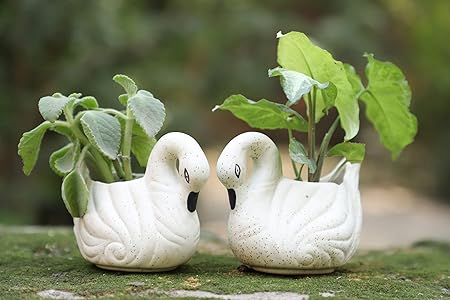 Lyallpur Stores Bird Ceramic Planter - Small (White Color, 6 cm) Plant Not Included