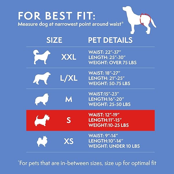 SIMPLE SOLUTION FEMALE DOG DIAPERS – DISPOSABLE DIAPERS FOR POTTY TRAINING, INCONTINENCE, AND HEAT CYCLE PROTECTION – LEAK-PROOF FIT FOR SMALL DOGS, 12–19 INCH WAIST – 30 COUNT