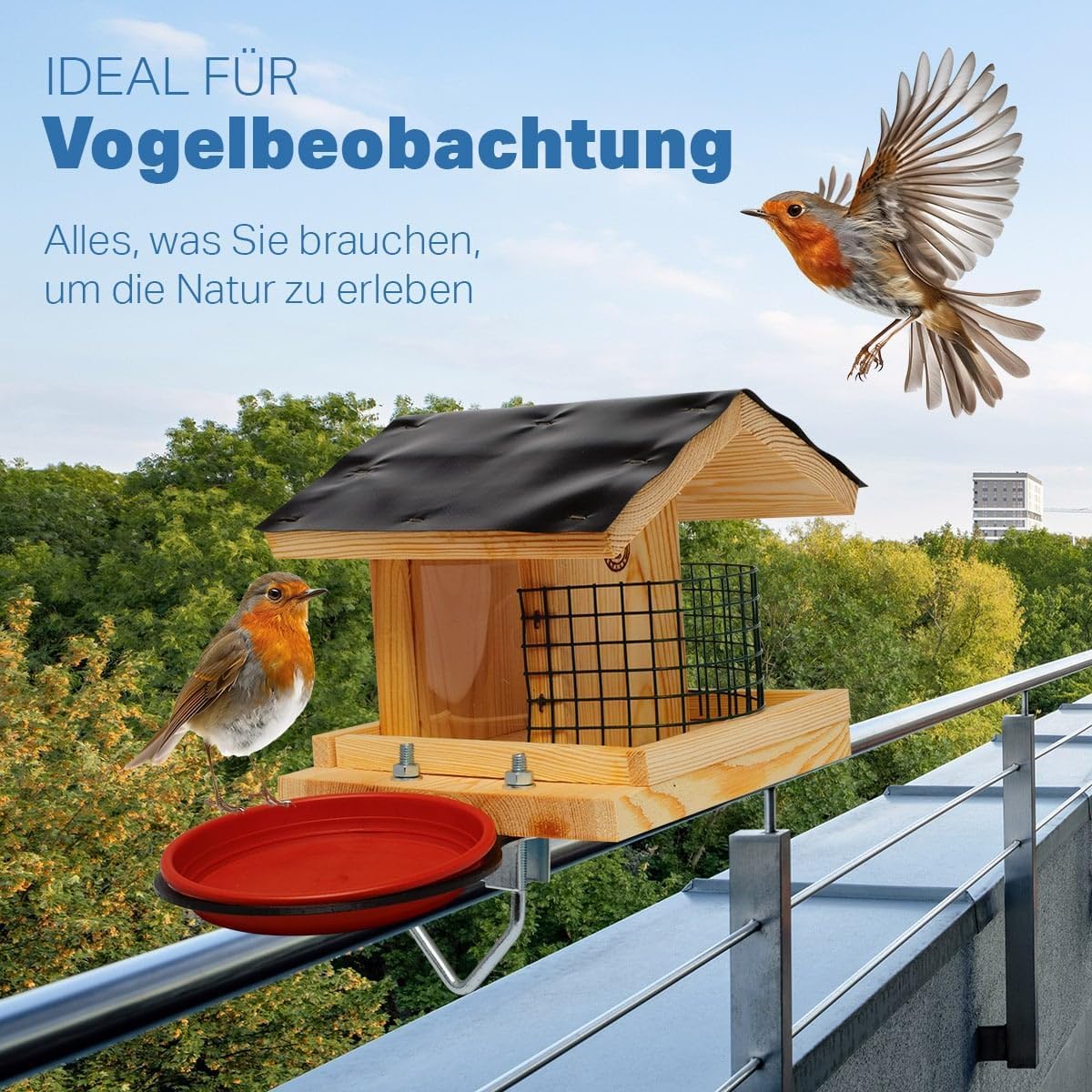 STAFECO Vogelfutterhaus Vogelhaus für Balkon wetterfest Futterhaus balkongeländer Holz imprägniert Handarbeit Gartenvögel im Garten Balkonhalterung mit Einer Größe von 30 bis 60 mm (Balkon 2) 9
