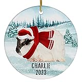 Santa Hat and Scarf Welcome Winter White Abyssinian