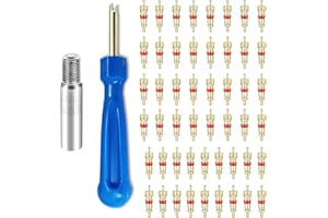 PAREMPY 102 PCS Tire Schrader Valve Tool Kit 100 Schrader Valve Core 1 Valve Removal Tool 1 Stem Extension Tire Valve Core for RV ATV Automotive Trucks Motorcycles Air Conditioning Valve Stem Removal