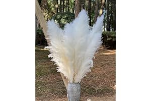 Chic Collezione All White 5 Feet Set of 3 Premium Pampa Grass, Reed, Natural Dried Grass Bulk Pampas Boho Dried Flowers Arran