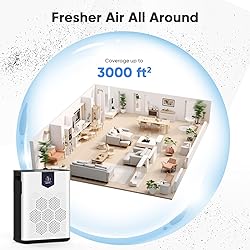 DAYETTE Air Purifiers for Home Large Room, H14 True
