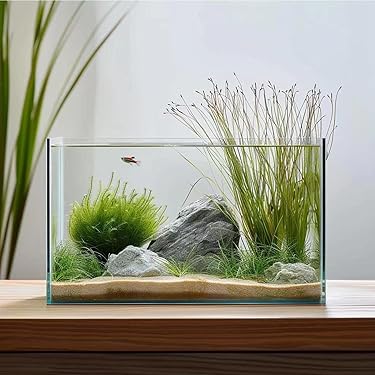 Amazon Best Sellers: Best Fish Bowls