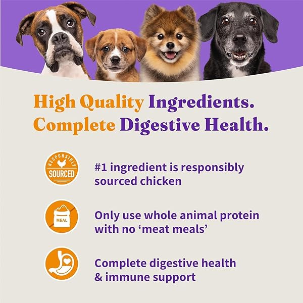 HALO HOLISTIC PUPPY FOOD, CAGE FREE CHICKEN & BROWN RICE RECIPE, HEALTHY GRAINS DRY DOG FOOD, COMPLETE DIGESTIVE HEALTH, 3.5 LB BAG