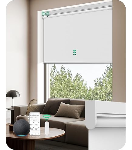 Amazon.com: Allesin Motorized Zebra Blinds for Windows - Remote