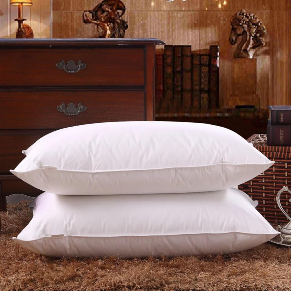 Shi Shang King Size Pure Canadian Goose Down Pillow 20X36inches, 2000TC Egyptian Cotton Cover