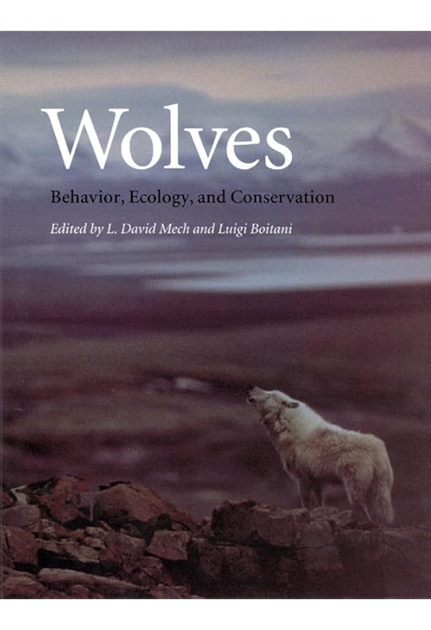 AIDS Wolf Live Dates indiesleaze 7” 中古品 Wolf Island: Discovering the Secrets of a Mythic Animal: L. David