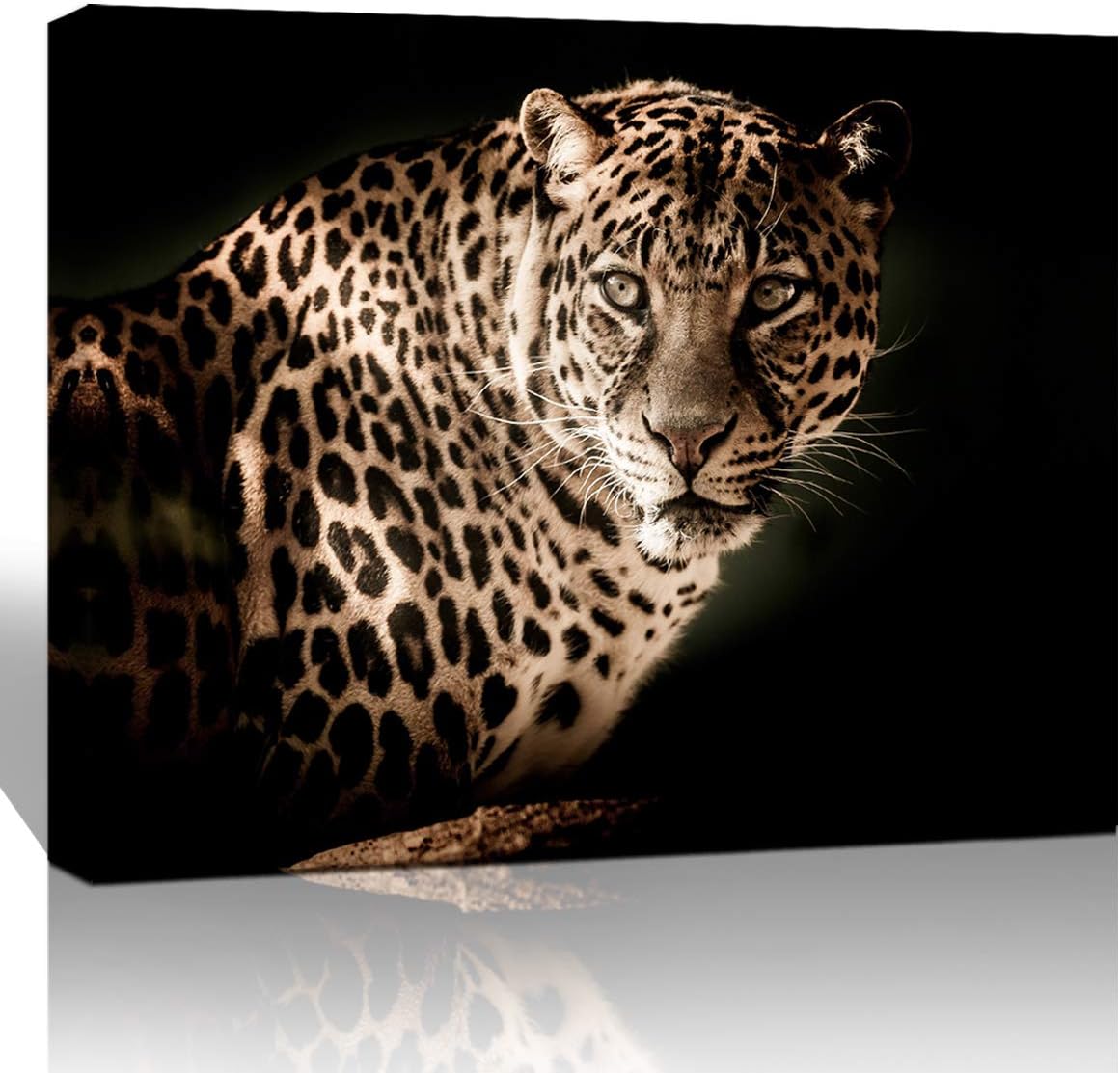 The Melody Art Natural Giclee Landscape Canvas Wall Art Wildlife Leopard Picture Print in Canvas Stretched and Framed for Home Decor 12x16 1/pcs