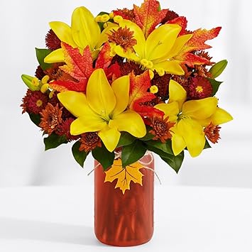 Amazon Com Proflowers 15 Count Orange Autumn Glow W Free Vase