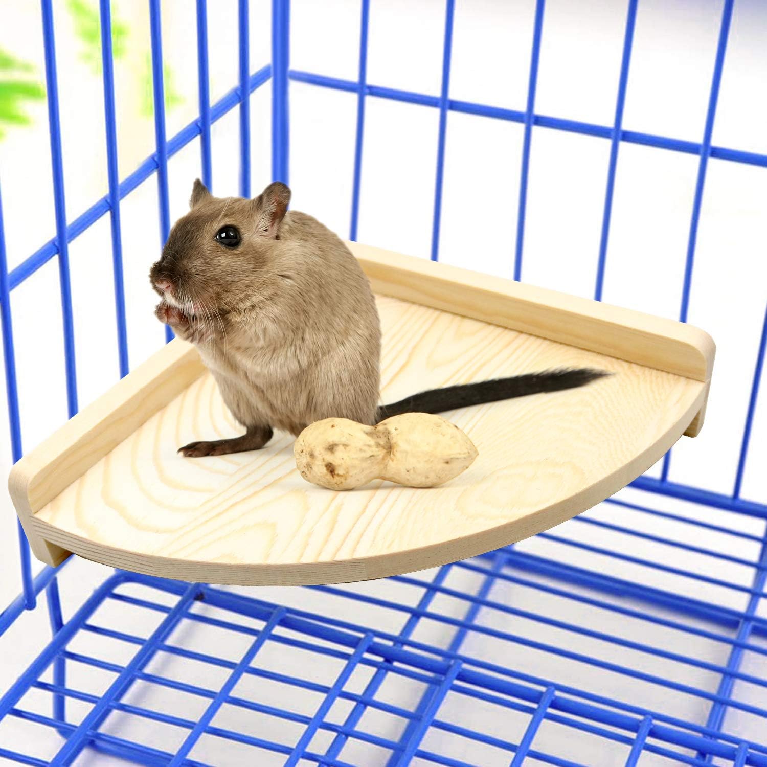 suruikei 2 Pack Bird Perch Platform, Parrot Stand Sector Playground Wood Perch Stand Toy Cage Accessories Exercise Toy for Parakeet Conure Cockatiel Budgie Gerbil Rat Mouse Chinchilla Hamster (Set 1) : Pet Supplies