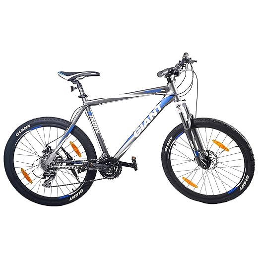 giant rincon disc 2017