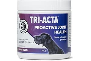 Integricare Muscle and Joint Supplement for Pets - Hip and Joint Supplement with Msm Powder, Chondroitin - Glucosamine for Do