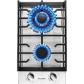 2 Burner Propane Stove, 12 inch Built-in Gas Cooktop, NG/LPG Convertible Stainless Steel Gas Stove with Auto Ignition & Thermocouple Protection, Heavy Duty Cast Iron Grates for Kitchen, Apartment, RV