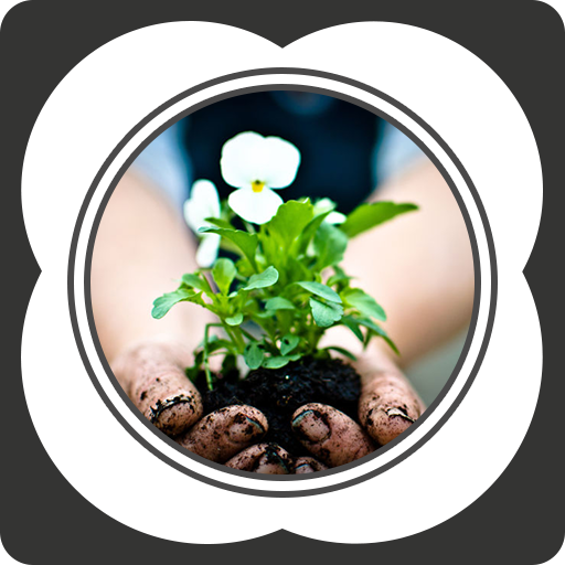 Gardening - Growing Flowers, Fruit, Herbs and Other Organic Ingredients In Your Backyard Home Garden - Thumbnail 6