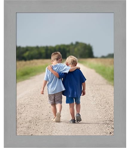 Amazon.com: Amanti Art Picture Frame 16x20 Photo Frame, Brushed