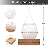 Coocnh Storm Glass Weather Predictor Barometer Crystal Bottle Decorative view 2