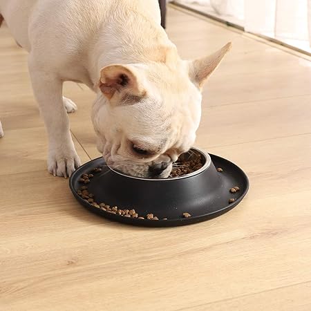 10 inch dog bowl
