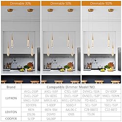 LMQNINE Pendant Lights Kitchen Light Fixtures