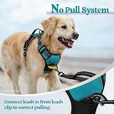 rabbitgoo Large Dog Harness No Pull Reflective Teal XL with Front Back Clips view 6