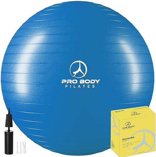 Accessories - ProBody Pilates Exercise Ball - Multiple Sizes Gym Grade Balance Ball for Fitness, Workout, Pregnancy & Physical Therapy, Stability Yoga Ball Chair (Blue, 65cm)