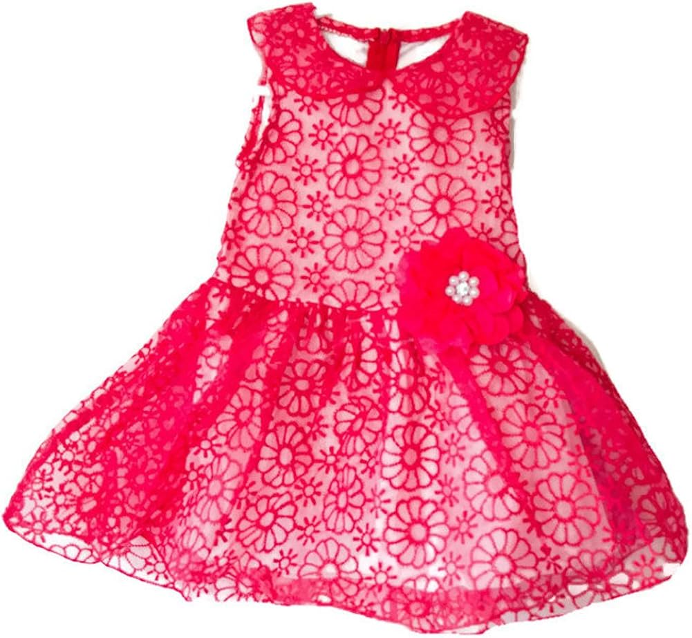 Miss Lovely Dress Baby, Toddler, Child (18 to 24 months