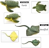 Fun Gift Sea Animal Toy Set 8 pcs Ocean Figures for Kids Realistic view 5