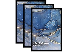 Fxojyvo 12x17 Picture Frame Set of 3, Black Frame for 12 x 17 Inch Picture Poster Photo, Light Weight and High Transparent 12 by 17 Frame for Wall - 3 Pack/Black/12 x17