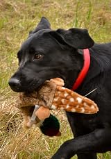 Petface Luxury Multi Squeak Pheasant Dog Toy view 5