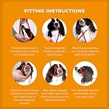 Dog & Field Anti Pull Lead Head Collar One Size Red 10mm Nylon Braided view 5