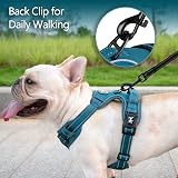 PoyPet No Pull Dog Harness Reflective Vest Easy Control Handle S Tumalo Teal view 4