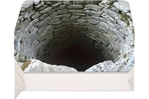 3D Optical IllusionEndless Abyss Non-Slip Door Mat, 3D Optical Illusion Carpet Mat Non-Slip Doormat Rug | for Front Door Entr