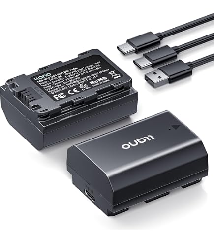 Amazon.com : DSTE NP-FZ100 Battery Compatible with Sony FX1, ZV-E1