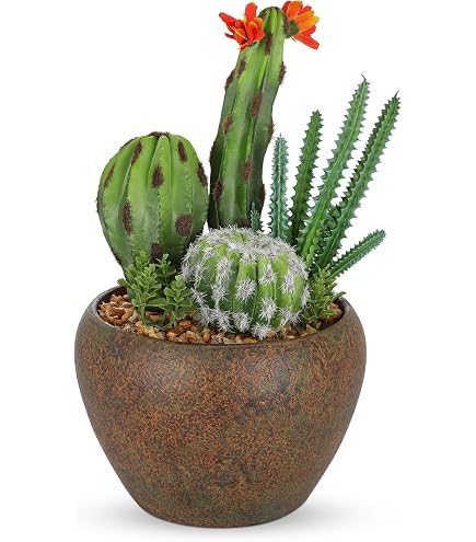 Amazon.com: Cactus Artificial Plants in Gray Pots, Realistic Faux Cactus  Potted Dcor for Home, Office, Kitchen, Living Room, Desk, Shelf, and  Indoor Decoration (Radial) : Home & Kitchen