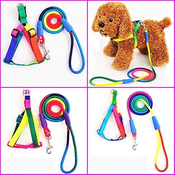 Pets Empire Rainbow Colour Weave Nylon Pet Rope Dog Harness Training Walking Leash (Medium)