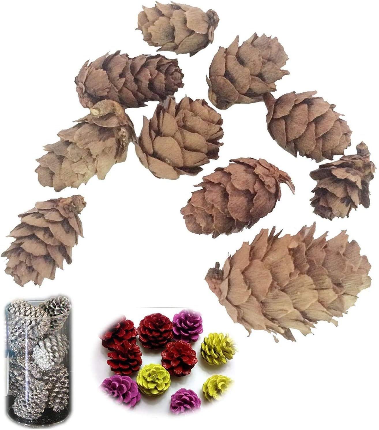 POFET Natural Pine Cones Pineal Gland Aquarium Terrariums Miniature Garden Fairy Gardens Doll House Decoration 1-3cm 50-piece - Image 3