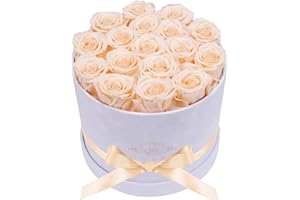 PRIFROTI Forever Real Roses in Suede Box - 17-Piece Roses in a Box - Real Preserved Roses That Last Over a Year - Preserved Flowers for Delivery Prime - Valentine's Day, Birthday, Mother's Day (Champagne)