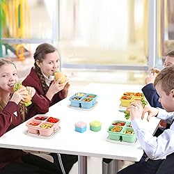 Caperci Lunchable Snack Containers - 4 Compartments