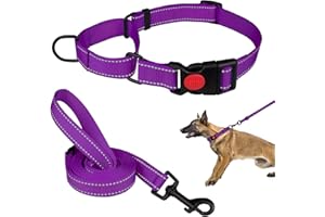 MTLIEPTE Martingale Dog Collar and Leash Set Martingale Collars for Dogs Reflective Martingale Collar for Small Medium Large Dogs(Purple&L)
